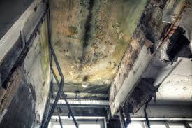 Mold Documentation for Insurance Claims in Yoe, PA